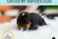 AMETHYS